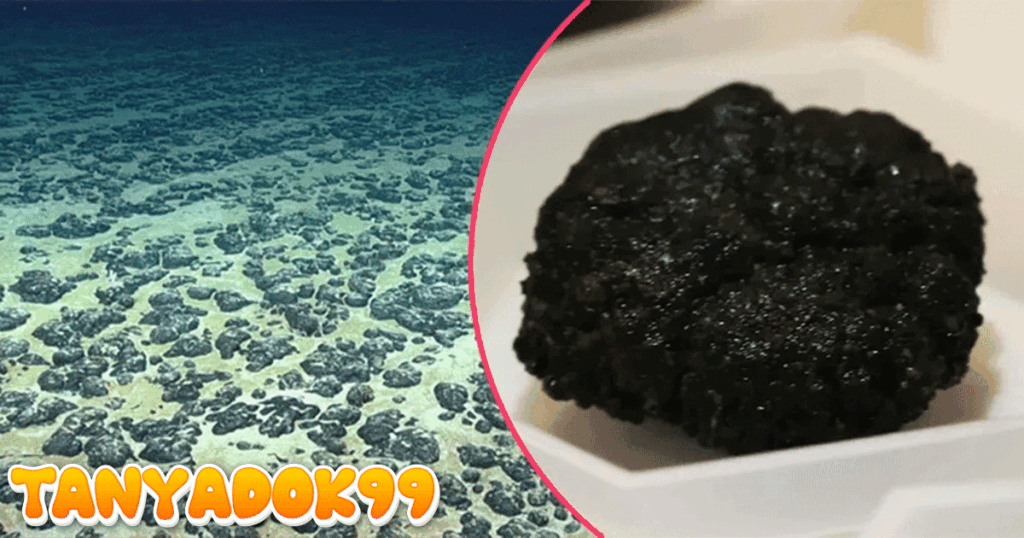 Mengenal Oksigen Gelap yang Dihasilkan Logam di Dasar Laut Pasifik