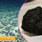 Mengenal Oksigen Gelap yang Dihasilkan Logam di Dasar Laut Pasifik