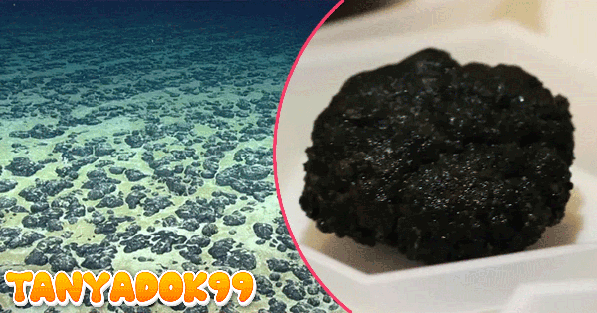 Mengenal Oksigen Gelap yang Dihasilkan Logam di Dasar Laut Pasifik