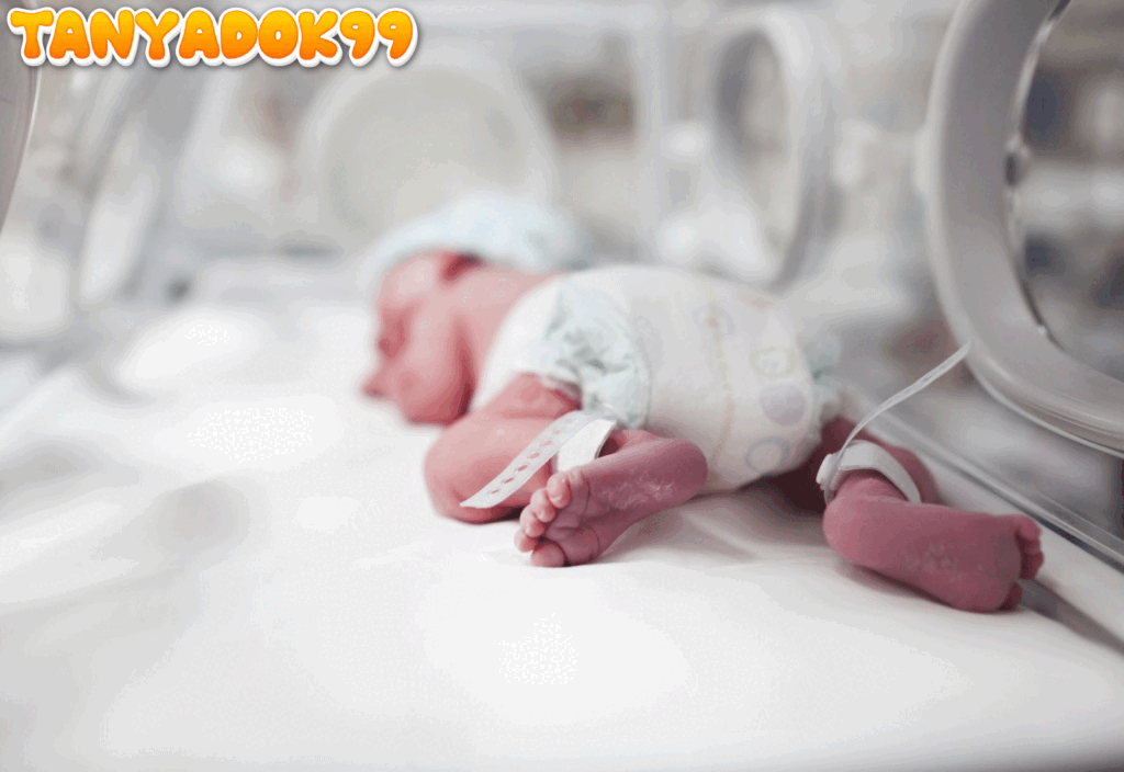 Bayi Prematur Kerap Alami Komplikasi, Penanganan Sejak Awal Amat Penting