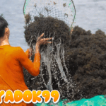 Hilirisasi Rumput Laut di Gunung Kidul Jadi Salah Satu Kunci Kemakmuran RI