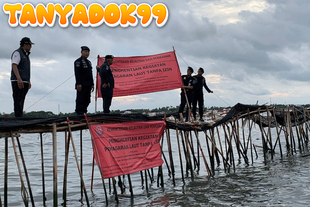 KKP Sebut Pemagaran Laut di Bekasi Tak Berizin, Sudah Ditegur Sejak Desember 2024