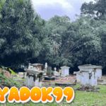 6 Makam Belanda di Kebun Raya Bogor Tertimpa Pohon Tumbang