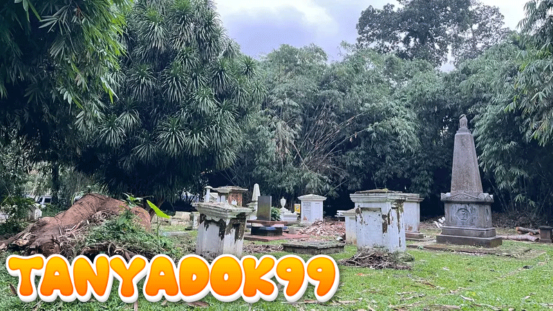 6 Makam Belanda di Kebun Raya Bogor Tertimpa Pohon Tumbang