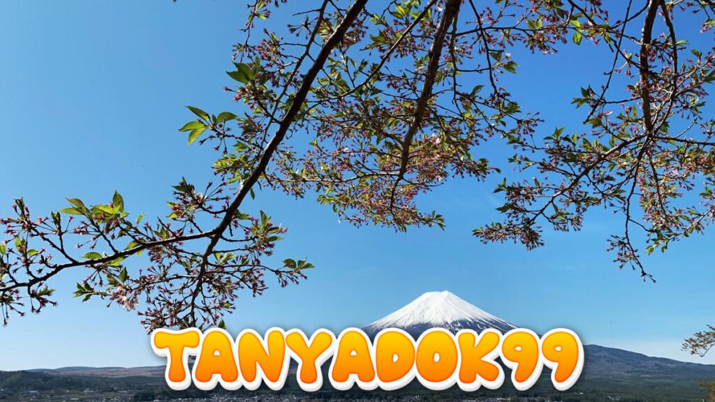 Jepang Buat Panduan Mitigasi Letusan Gunung Fuji, Ada Ancaman Erupsi Setelah 300 Tahun?