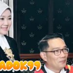 Hotman Paris Sebut Kasus Ridwan Kamil Versus Lisa Mariana Langka, Akui Tes DNA Tak Ada Aspek Pidana