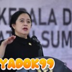Jangan Bebani APBN, Puan Minta Usulan Pensiun ASN hingga 70 Tahun Dikaji Lebih Mendalam