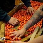 Tarif Trump: Bagaimana bisnis di seluruh dunia merespons