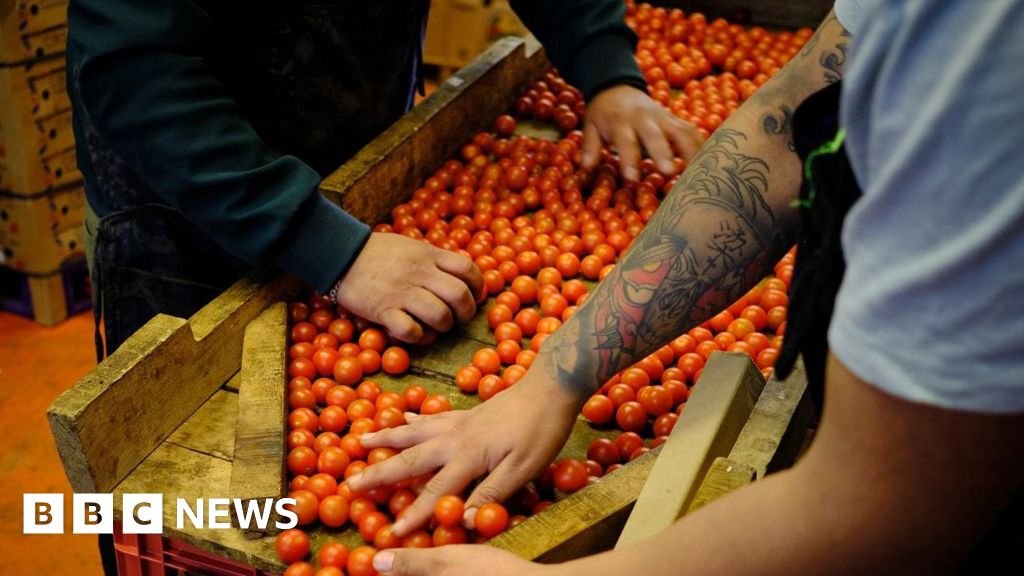 Tarif Trump: Bagaimana bisnis di seluruh dunia merespons