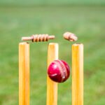 Gede Priandana dari Indonesia mencatatkan rekor dengan lima gawang dalam pertandingan T20I vs Kamboja