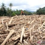 Indonesia sangat membutuhkan pengelolaan lingkungan yang lebih baik