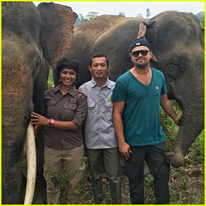 Leonardo DiCaprio Berjuang untuk Menolong Satwa Liar di Indonesia