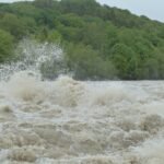 Indonesia: Pemerintah menggugat enam perusahaan atas kerusakan lingkungan di wilayah yang terkena banjir mematikan yang terkait dengan deforestasi.