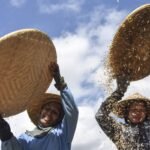 Indonesia menghentikan impor beras, gula, dan jagung pada tahun 2026.