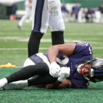 Stadion NFL mengganti rumput sintetis untuk Piala Dunia 2026. Para pemain berharap rumput alami tetap dipertahankan.