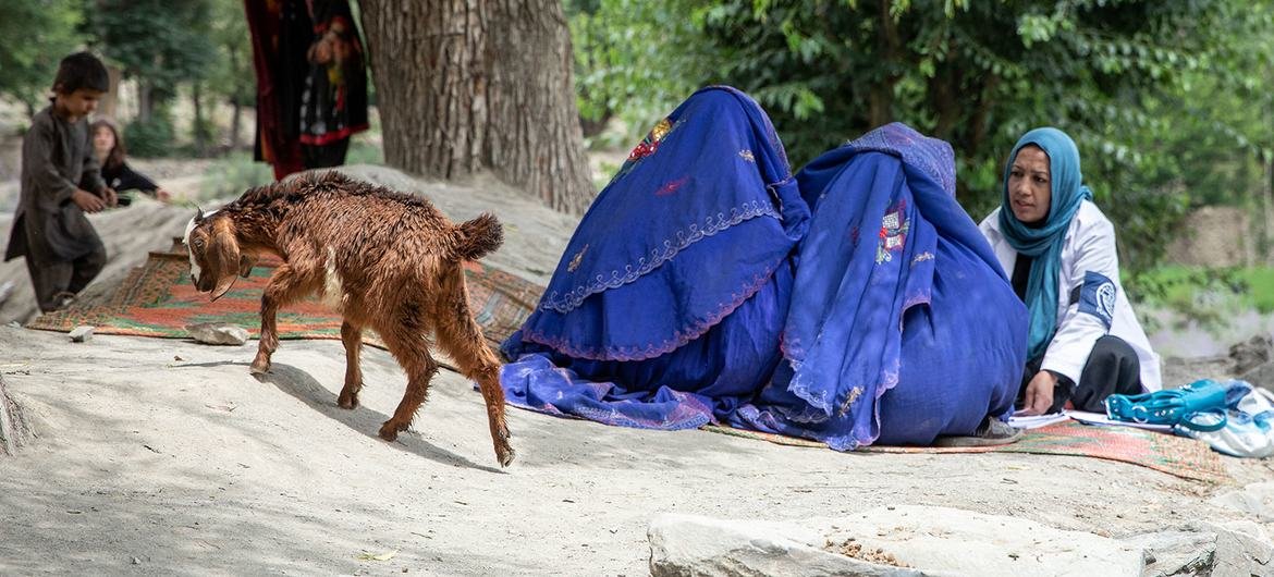Berita Dunia Singkat: Deklarasi bersejarah tentang penyakit dan kesehatan mental, kelaparan di Afghanistan semakin parah, krisis pengungsi di Republik Demokratik Kongo