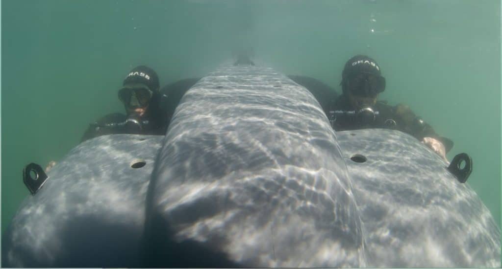 DRASS Menyerahkan Dua Kapal Pengangkut Perenang ke Indonesia