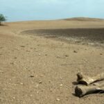 Dunia memasuki era ‘kebangkrutan air global’