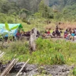 Kebingungan seputar ledakan di Papua Barat dan klaim pengungsian, sementara insiden penembakan terhadap pilot telah dikonfirmasi